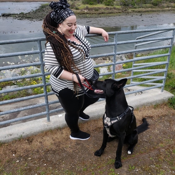 Meet your Posher, Ola - Picture 3 of 5